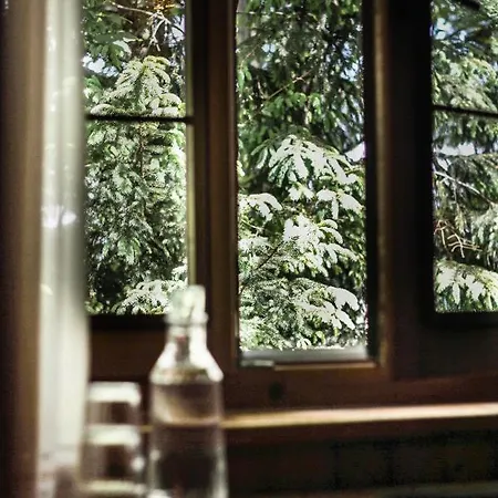 Staszelowka Guest house