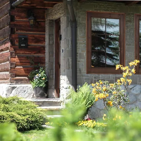 Staszelowka Закопане